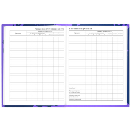 Дневник 5-11 класс 48 л., твердый, BRAUBERG, глянцевая ламинация, с подсказом, "Приставка", 106629 - Дневники для старших классов