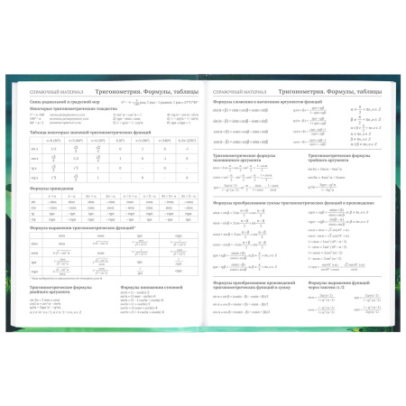 Дневник 5-11 класс 48 л., твердый, BRAUBERG, глянцевая ламинация, с подсказом, "Мир Будущего", 106627 - Дневники для старших классов