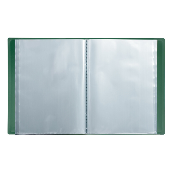 Папка 60 вкладышей BRAUBERG стандарт, зеленая, 0,8 мм, 228684 - Папки с вкладышами (файлами)