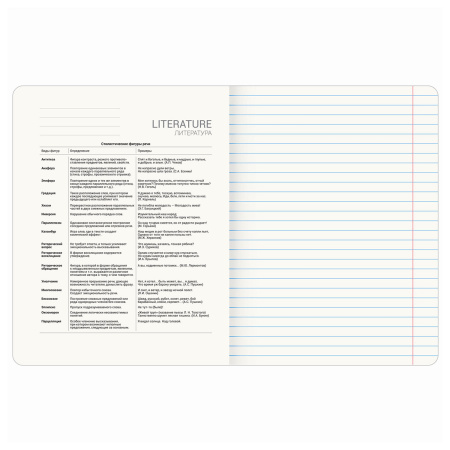 Тетрадь предметная ANIME 48 л., глянцевый УФ-лак, ЛИТЕРАТУРА, линия, BRAUBERG, 404540 - Тетради предметные