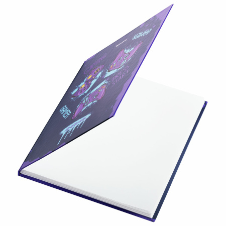 Дневник 5-11 класс 48 л., твердый, BRAUBERG, глянцевая ламинация, с подсказом, "Приставка", 106629 - Дневники для старших классов