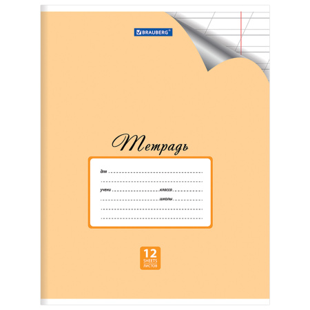 Тетрадь 12 л. BRAUBERG "ЭКО", косая линия, обложка плотная мелованная бумага, ПАСТЕЛЬНАЯ С УГОЛКОМ, 104504 - Тетради 12-24 листов