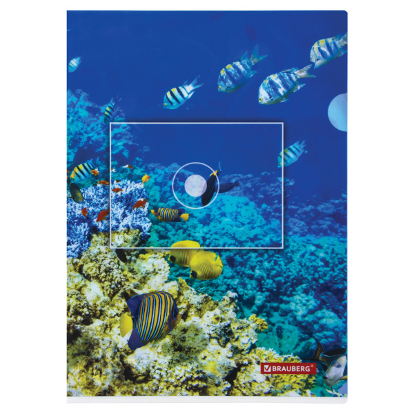 Папка-уголок BRAUBERG "SEA WORLD", А4, 150 мкм, цветная печать, 228042 - Папки-уголки пластиковые