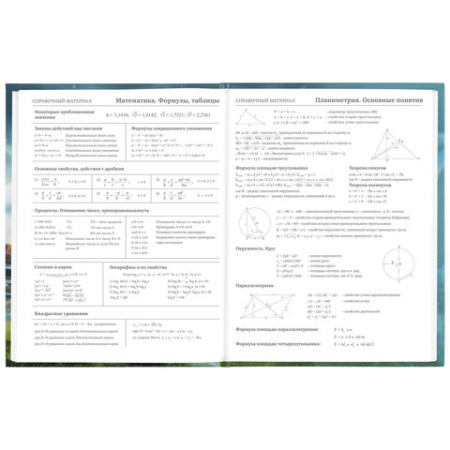Дневник 5-11 класс 48 л., твердый, BRAUBERG, глянцевая ламинация, с подсказом, "Футбол", 106633 - Дневники для старших классов