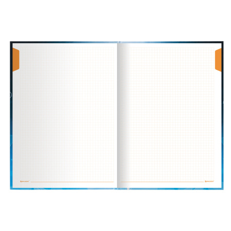 Блокнот БОЛЬШОЙ ФОРМАТ (215х295 мм) А4, 128 л., твердый, клетка, блок 4 цвета, BRAUBERG, "Бизнес", 111593 - Блокноты в книжном переплете