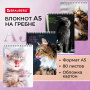 Блокнот А5 (146х206 мм), 80 л., гребень, картон, клетка, BRAUBERG, "Довольные коты", 114374 - Блокноты