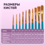 Кисти синтетика BRAUBERG, НАБОР 10 шт., синие (Круглые; Овальные; Плоские; Лайнеры), 201030 - Кисти для рисования