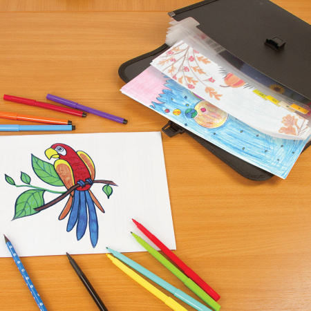 Папка для бумаг и документов с замком и 13 отделениями BRAUBERG "HIT", А4, пластик, черная, 229572 - Папки пластиковые с отделениями