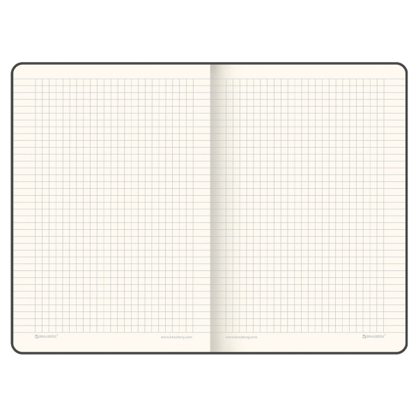 Блокнот А5 (148х218 мм), BRAUBERG "Income", 128 л., гладкий кожзаменитель, клетка, черный, 125208 - Бизнес-блокноты и бизнес-тетради