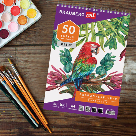 Скетчбук-блокнот для рисования белая бумага 100 г/м2, 205х290 мм, 50 л., КОМПЛЕКТ 2 шт., BRAUBERG, 880274 - Альбомы, скетчбуки и бумага для графики и эскизов