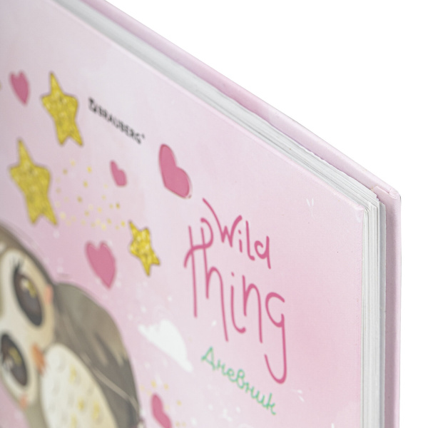 Дневник 1-11 класс 48 л., твердый, BRAUBERG, глянцевая ламинация, с подсказом, "Совушка", 106601 - Дневники для младших классов