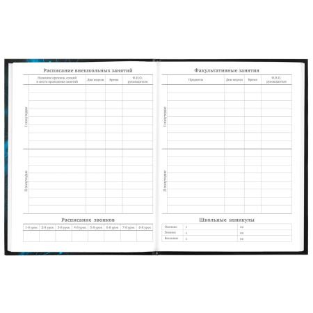 Дневник 5-11 класс 48 л., твердый, BRAUBERG, глянцевая ламинация, с подсказом, "Hi-tech", 106626 - Дневники для старших классов