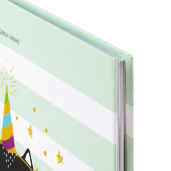 Дневник 1-11 класс 48 л., твердый, BRAUBERG, блестки, с подсказом, "Котик", 106606 - Дневники для младших классов