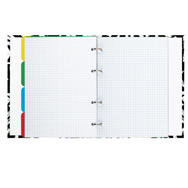 Тетрадь на кольцах А5 (175х215 мм), 240 листов, твердый картон, клетка, с разделителями, BRAUBERG, Calligraphy,404097 - Тетради на кольцах и сменные блоки к ним