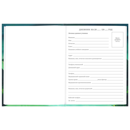 Дневник 5-11 класс 48 л., твердый, BRAUBERG, глянцевая ламинация, с подсказом, "Мир Будущего", 106627 - Дневники для старших классов