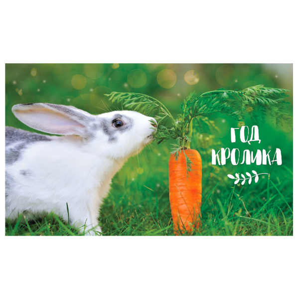 Календарь квартальный с бегунком 2023 г., 3 блока, 4 гребня, УльтраЛюкс, "Год Кролика", HATBER, 3Кв4гр2ц_27154 - Календари настенные