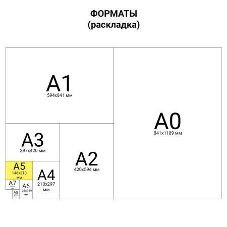 Тетрадь на кольцах А5 160х215 мм, 80 л., пластик, клетка, BRAUBERG, "Голубой", 403251 - Тетради на кольцах и сменные блоки к ним