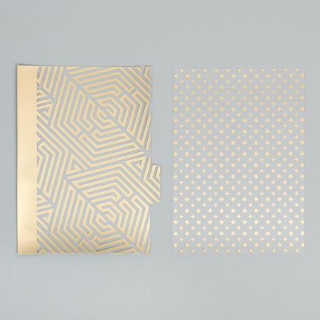 Набор ацетатных разделителей с фольгированием для планера «Крафт», 6 листов, размер 16*25 см - Разделители для планера