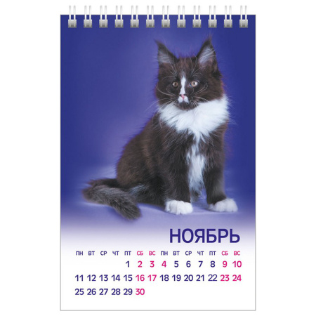 Календарь-домик настольный на гребне на 2024 г., 105х160 мм, вертикальный, "МУРчат Коты", HATBER, 12КД6гр_28412 - Календари настольные