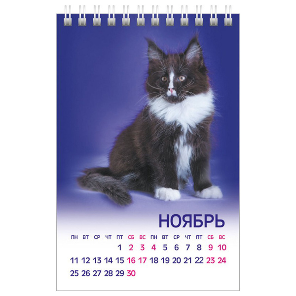 Календарь-домик настольный на гребне на 2024 г., 105х160 мм, вертикальный, "МУРчат Коты", HATBER, 12КД6гр_28412 - Календари настольные