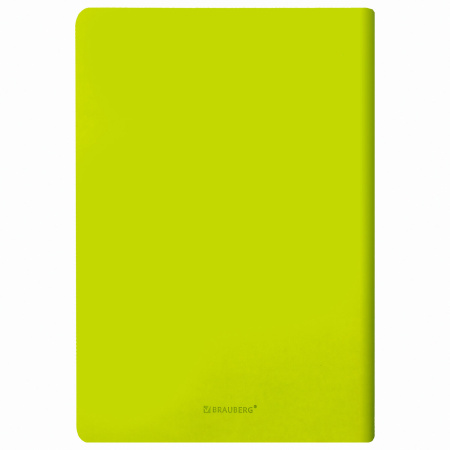 Тетрадь 48 л. в клетку обложка кожзам SoftTouch, сшивка, A5 (147х210мм), САЛАТОВЫЙ, BRAUBERG RAINBOW, 403878 - Тетради 40-48 листов