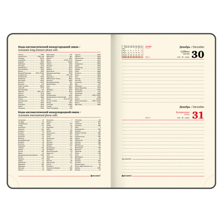 Ежедневник датированный 2024 А5 138x213 мм BRAUBERG "Optimal", под кожу, резинка-фиксатор, держатель для ручки, серый, 114977 - Ежедневники с покрытием "под кожу и ткань"