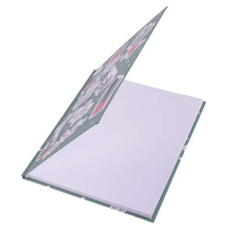 Дневник 5-11 класс 48 л., твердый, BRAUBERG, блестки, с подсказом, "Кактусы", 106420 - Дневники для старших классов