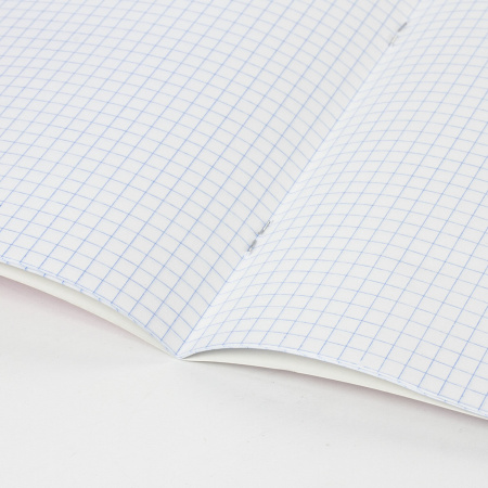 Тетради 24 л. КОМПЛЕКТ 20 шт. BRAUBERG "EXTRA", клетка, плотная бумага 80 г/м2, обложка картон, 880072 - Тетради 12-24 листов