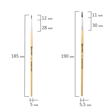 Кисти BRAUBERG, набор 4 шт. (пони, круглые № 2, 3, 4, плоская № 6), блистер, 200221 - Кисти для рисования