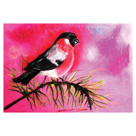 Альбом для пастели, картон ФУКСИЯ тонированный 630 г/м2, 207x297 мм, 10 л., BRAUBERG ART CLASSIC, 105921 - Альбомы и бумага для пастели