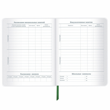 Дневник 1-11 класс 48 л., кожзам (гибкая), термотиснение, фольга, BRAUBERG, "Football", 106170 - Дневники универсальные