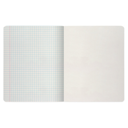 Тетрадь А5 48 л. АЛЬТ скоба, клетка, глянцевый лак, "Пейзажи" (5 видов), 7-48-637 - Тетради 40-48 листов