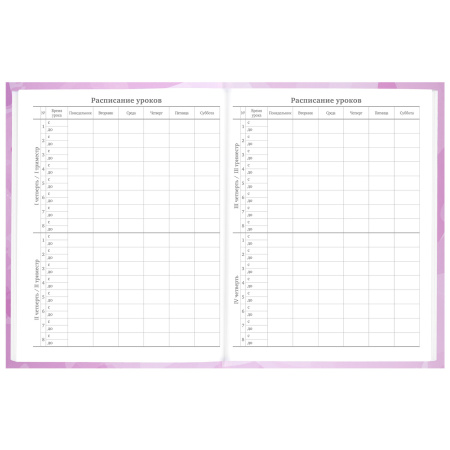 Дневник 5-11 класс 48 л., твердый, BRAUBERG, глянцевая ламинация, с подсказом, "Кактусы", 106628 - Дневники для старших классов