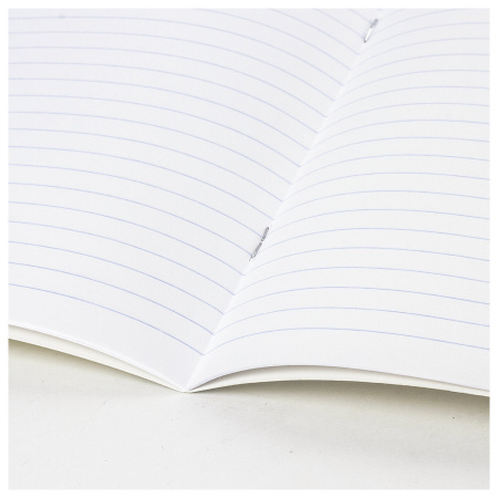 Тетради 18 л. КОМПЛЕКТ 20 шт. BRAUBERG "КЛАССИКА NEW", линия, обложка картон, АССОРТИ (5 видов), 880062 - Тетради 12-24 листов