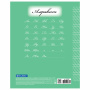 Тетрадь 12 л. BRAUBERG ЭКО "5-КА", частая косая линия, обложка плотная мелованная бумага, ЗЕЛЕНАЯ, 1 шт, 104766 - Тетради 12-24 листов