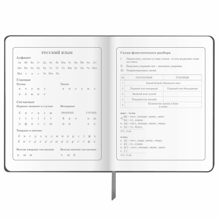 Дневник 1-4 класс 48 л., кожзам (твердая), печать, аппликация, ЮНЛАНДИЯ, "Truck Race", 106195 - Дневники для младших классов