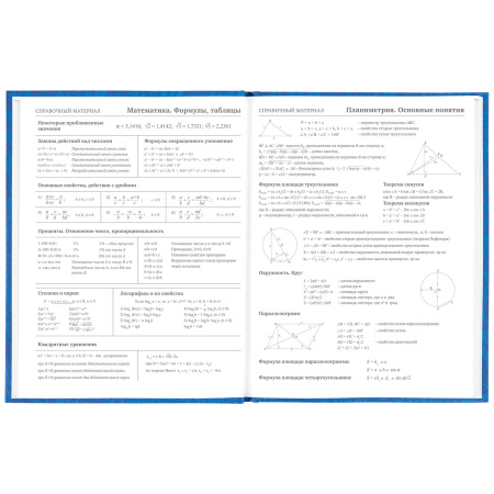 Дневник 5-11 класс 48 л., твердый, BRAUBERG, фольга, с подсказом, "Football", 106416 - Дневники для старших классов