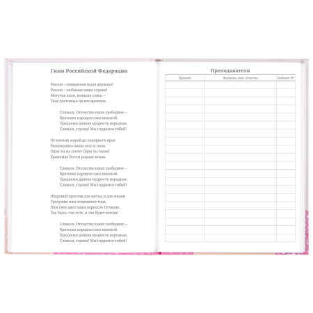 Дневник 5-11 класс 48 л., твердый, BRAUBERG, глянцевая ламинация, с подсказом, "Летний", 106631 - Дневники для старших классов