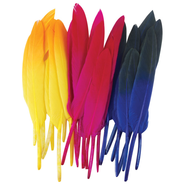 Перья декоративные прямые, 10-15 см, 24 шт., 6 цветов, двухцветные, ассорти, ОСТРОВ СОКРОВИЩ, 661381 - Перья для творчества