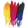Перья декоративные прямые, 10-15 см, 24 шт., 6 цветов, двухцветные, ассорти, ОСТРОВ СОКРОВИЩ, 661381 - Перья для творчества