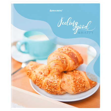 Тетрадь А5, 48 л., BRAUBERG, скоба, клетка, матовая ламинация, выборочный лак, "Sweets" (микс в спайке), 404373 - Тетради 40-48 листов