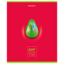 Тетрадь предметная "AVOCADO" 48 л., глянцевый лак, АНГЛИЙСКИЙ ЯЗЫК, клетка, BRAUBERG, 404275 - Тетради предметные