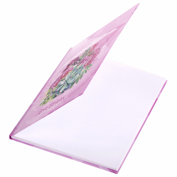 Дневник 5-11 класс 48 л., твердый, BRAUBERG, глянцевая ламинация, с подсказом, "Кактусы", 106628 - Дневники для старших классов