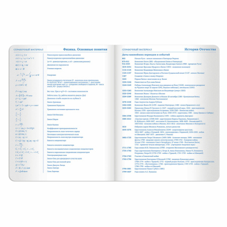 Дневник 1-11 класс 48 л., кожзам (твердая с поролоном), тиснение аппликация, BRAUBERG, "СЛАДОСТИ", 105487 - Дневники универсальные