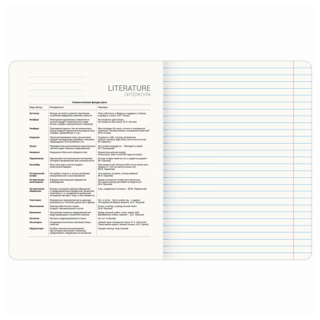 Тетрадь предметная "СИЯНИЕ ЗНАНИЙ" 48 л., глянцевый УФ-лак, ЛИТЕРАТУРА, линия, BRAUBERG, 404528 - Тетради предметные