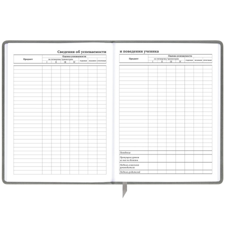 Дневник 1-11 класс 48 л., кожзам (твердая с поролоном), тиснение, аппликация, BRAUBERG, "Extreme", 106569 - Дневники универсальные