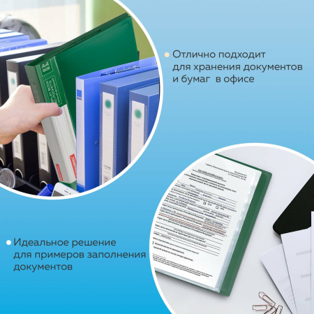 Папка 60 вкладышей BRAUBERG стандарт, зеленая, 0,8 мм, 228684 - Папки с вкладышами (файлами)