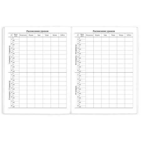 Дневник 1-11 класс 40 л., на скобе, ПИФАГОР, обложка картон, "Котик", 106580 - Дневники универсальные