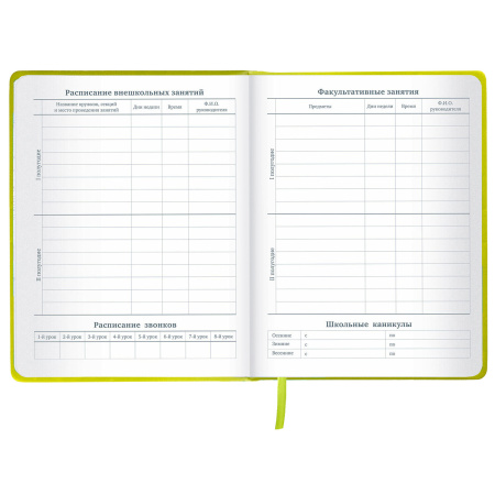 Дневник 1-11 класс 48 л., кожзам (твердая с поролоном), тиснение аппликация, BRAUBERG, "Super Avo", 106205 - Дневники универсальные