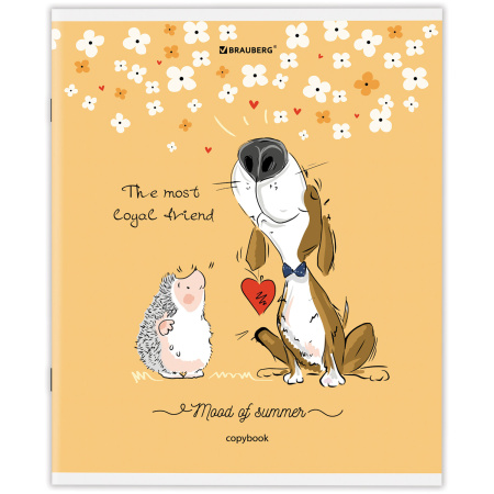 Тетрадь А5 48 л. BRAUBERG скоба, клетка, обложка картон, "Приключения Ёжика" (микс в спайке), 404366 - Тетради 40-48 листов